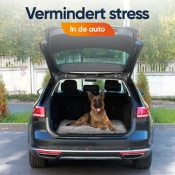 Happysnoots Hondenkussen 70 X 50cm - Hondenbed - Donut Dog Bed - Fluffy - Grijs - Wasbaar 21 Happysnoots Hondenkussen 70 X 50cm - Hondenbed - Donut Dog Bed - Fluffy - Grijs - Wasbaar -Honden Benodigdheden Verkoop 1200x1200 1804