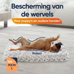 Happysnoots Hondenkussen 70 X 50cm - Hondenbed - Donut Dog Bed - Fluffy - Grijs - Wasbaar 23 Happysnoots Hondenkussen 70 X 50cm - Hondenbed - Donut Dog Bed - Fluffy - Grijs - Wasbaar -Honden Benodigdheden Verkoop 1200x1200 1806