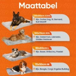 Happysnoots Hondenkussen 70 X 50cm - Hondenbed - Donut Dog Bed - Fluffy - Grijs - Wasbaar 29 Happysnoots Hondenkussen 70 X 50cm - Hondenbed - Donut Dog Bed - Fluffy - Grijs - Wasbaar -Honden Benodigdheden Verkoop 1200x1200 1812