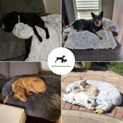 Premium Hondendeken Bank - Hondenkussens - Hondenmand Bank - Hondendeken Voor Op De Bank - Bankbeschermer - Donkergrijs -Honden Benodigdheden Verkoop 1200x1200 1821