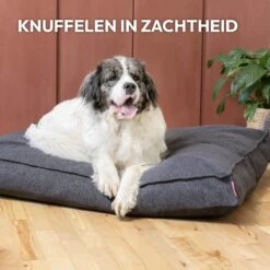 Snoozle Orthopedische Hondenmand - Zacht En Luxe Hondenkussen - Hondenbed - Wasbaar - Hondenmanden - 100 X 70 Cm - Groen -Honden Benodigdheden Verkoop 1200x1200 1826