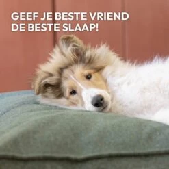 Snoozle Orthopedische Hondenmand - Zacht En Luxe Hondenkussen - Hondenbed - Wasbaar - Hondenmanden - 100 X 70 Cm - Groen -Honden Benodigdheden Verkoop 1200x1200 1827