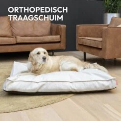 Snoozle Orthopedische Hondenmand - Zacht En Luxe Hondenkussen - Hondenbed - Wasbaar - Hondenmanden - 100 X 70 Cm - Groen -Honden Benodigdheden Verkoop 1200x1200 1828