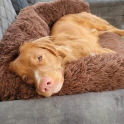 Origineel Hondendeken Voor Bank– Hondenkleed Fluffy – Pluche Hondenbed - Hondenmand Premium - Volledig Afritsbaar -Honden Benodigdheden Verkoop 1200x1200 1836