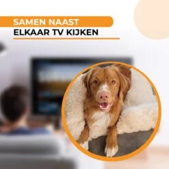 Origineel Hondendeken Voor Bank M – Hondenkleed Fluffy – Pluche Hondenbed - Hondenmand Premium - Volledig Afritsbaar - Beige -Honden Benodigdheden Verkoop 1200x1200 1848