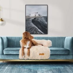 Origineel Hondendeken Voor Bank M – Hondenkleed Fluffy – Pluche Hondenbed - Hondenmand Premium - Volledig Afritsbaar - Beige -Honden Benodigdheden Verkoop 1200x1200 1849