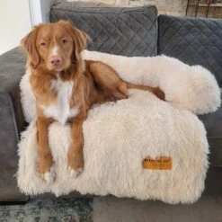 Origineel Hondendeken Voor Bank M – Hondenkleed Fluffy – Pluche Hondenbed - Hondenmand Premium - Volledig Afritsbaar - Beige -Honden Benodigdheden Verkoop 1200x1200 1851