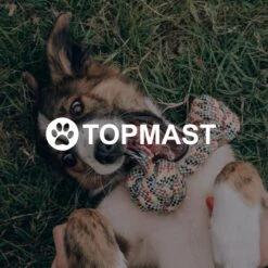 Topmast Waterproof Benchkussen - Nylon - Zwart - 90 X 60 Cm - Benchmat - Benchmatras - Waterafstotend - Hondenkussen -Honden Benodigdheden Verkoop 1200x1200 1876