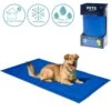 Koeling Mat Voor Huisdieren - 60 X 80 Cm -Honden Benodigdheden Verkoop 1200x1200 1877