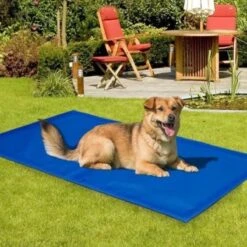Koeling Mat Voor Huisdieren - 60 X 80 Cm -Honden Benodigdheden Verkoop 1200x1200 1878