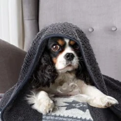 Nobleza 40UWK Hondendeken - Dierenmat - Benchkleed - 120x100cm - Grijs -Honden Benodigdheden Verkoop 1200x1200 1895