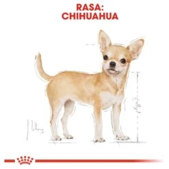 Royal Canin Chihuahua 3 KG -Honden Benodigdheden Verkoop 1200x1200 19