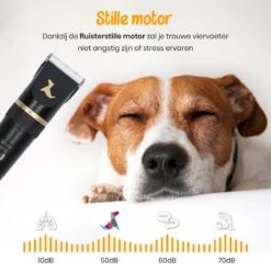 Loyalpetclub® Professionele 2-in-1 Hondentondeuse Voor Dikke Vacht – Draadloze Honden Tondeuse & Hondentrimmer – Stille Tondeuse Katten & Honden Trimset - Inclusief Opbergtasje -Honden Benodigdheden Verkoop 1200x1200 190