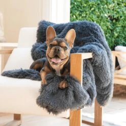 Fluffy Blanket - Pluche Hondendeken - 120 X 100 CM - Grijs - Voor De Auto Of Bank - Fleece -Honden Benodigdheden Verkoop 1200x1200 1933