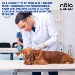 Nola & Coco® Tandsteen Verwijderaar Set Inclusief Bewaardoosje - Tandenkrabber - Set Van Twee - Hond - Kat - Tandenborstel - Tandplak Verwijderen - Tandenstoker - Honden Tanden Schoonmaken - Tandenhaakje - Gebitsreiniging -Honden Benodigdheden Verkoop 1200x1200 1970