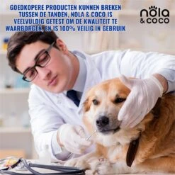Nola & Coco® Tandsteen Verwijderaar Set Inclusief Bewaardoosje - Tandenkrabber - Set Van Twee - Hond - Kat - Tandenborstel - Tandplak Verwijderen - Tandenstoker - Honden Tanden Schoonmaken - Tandenhaakje - Gebitsreiniging -Honden Benodigdheden Verkoop 1200x1200 1971