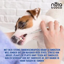 Nola & Coco® Tandsteen Verwijderaar Set Inclusief Bewaardoosje - Tandenkrabber - Set Van Twee - Hond - Kat - Tandenborstel - Tandplak Verwijderen - Tandenstoker - Honden Tanden Schoonmaken - Tandenhaakje - Gebitsreiniging -Honden Benodigdheden Verkoop 1200x1200 1973