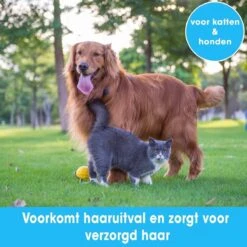 Professionele Ondervacht Kam Voor Hond En Kat S – Hondenborstel – Kattenborstel - Hondenkam –Anti Klit - Haarverwijderaar Voor Huisdieren - Pijnloos - Huisdiervriendelijk – Klittenkam - Voorkomt Haaruitval - Kleine Variant- Black Friday - Sinterklaas 9 Professionele Ondervacht Kam Voor Hond En Kat S – Hondenborstel – Kattenborstel - Hondenkam –Anti Klit - Haarverwijderaar Voor Huisdieren - Pijnloos - Huisdiervriendelijk – Klittenkam - Voorkomt Haaruitval - Kleine Variant- Black Friday - Sinterklaas -Honden Benodigdheden Verkoop 1200x1200 198