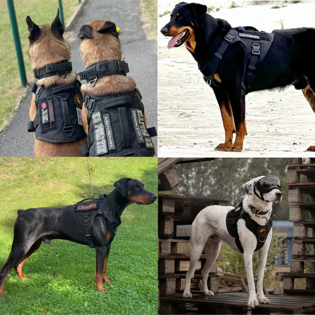 Always Prepared © Pro K9 Hondentuig - Anti Trek - Y Tuig - Middel En Grote Hond - Veiligheidstuig 11 Always Prepared © Pro K9 Hondentuig - Anti Trek - Y Tuig - Middel En Grote Hond - Veiligheidstuig - Afbeelding 9