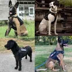 Always Prepared © Pro K9 Hondentuig - Anti Trek - Y Tuig - Middel En Grote Hond - Veiligheidstuig 29 Always Prepared © Pro K9 Hondentuig - Anti Trek - Y Tuig - Middel En Grote Hond - Veiligheidstuig -Honden Benodigdheden Verkoop 1200x1200 1993