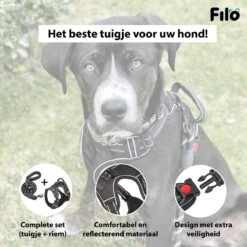 Filo Anti Trek Hondentuig S Met Hondenriem - Y Tuig Hond Verstelbaar - Hondentuigje Kleine Hond + Hondenlijn - Easy Walk Hondenharnas - Hondentuigjes - Leiband - Honden Tuigje - Puppy - Tuig - Hond -Honden Benodigdheden Verkoop 1200x1200 2001