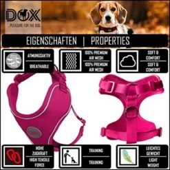 DDOXX Hondenharnas, Reflecterend, Verstelbaar, Breakaway | Borstharnas Voor Klein, Middelgroot | Hondenharnas Hond Kat Puppy Auto | Kattenharnas Puppy Harnas | Roze Roze, S 16 DDOXX Hondenharnas, Reflecterend, Verstelbaar, Breakaway | Borstharnas Voor Klein, Middelgroot | Hondenharnas Hond Kat Puppy Auto | Kattenharnas Puppy Harnas | Roze Roze, S -Honden Benodigdheden Verkoop 1200x1200 2011