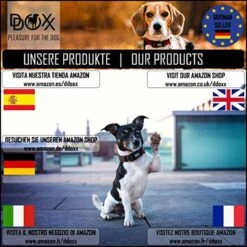 DDOXX Hondenharnas, Reflecterend, Verstelbaar, Breakaway | Borstharnas Voor Klein, Middelgroot | Hondenharnas Hond Kat Puppy Auto | Kattenharnas Puppy Harnas | Roze Roze, S 22 DDOXX Hondenharnas, Reflecterend, Verstelbaar, Breakaway | Borstharnas Voor Klein, Middelgroot | Hondenharnas Hond Kat Puppy Auto | Kattenharnas Puppy Harnas | Roze Roze, S -Honden Benodigdheden Verkoop 1200x1200 2014