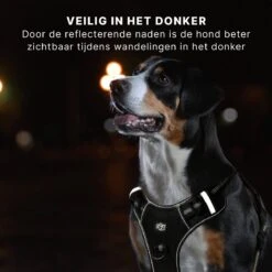 Hondentuigje - Anti-Trek Tuig - Hondenharnas - Y Tuig Hond - Reflecterend - Zwart - Maat M 13 Hondentuigje - Anti-Trek Tuig - Hondenharnas - Y Tuig Hond - Reflecterend - Zwart - Maat M -Honden Benodigdheden Verkoop 1200x1200 2017