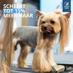 Professionele 2-in-1 Hondentondeuse Voor Dikke Vacht – Draadloze Honden Tondeuse & Hondentrimmer – Stille Tondeuse Katten & Honden Trimset -Honden Benodigdheden Verkoop 1200x1200 203