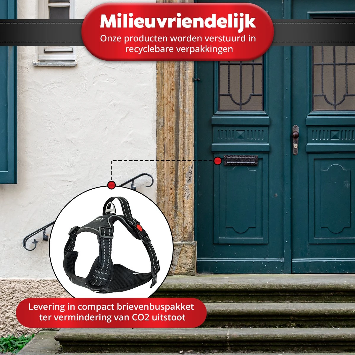 Purrr Fect Hondentuigje - Anti-Trek Tuig - Hondenharnas - Y Tuig Hond - Waterproof - Reflecterend - Verstelbaar - Maat M 5 Purrr Fect Hondentuigje - Anti-Trek Tuig - Hondenharnas - Y Tuig Hond - Waterproof - Reflecterend - Verstelbaar - Maat M - Afbeelding 3