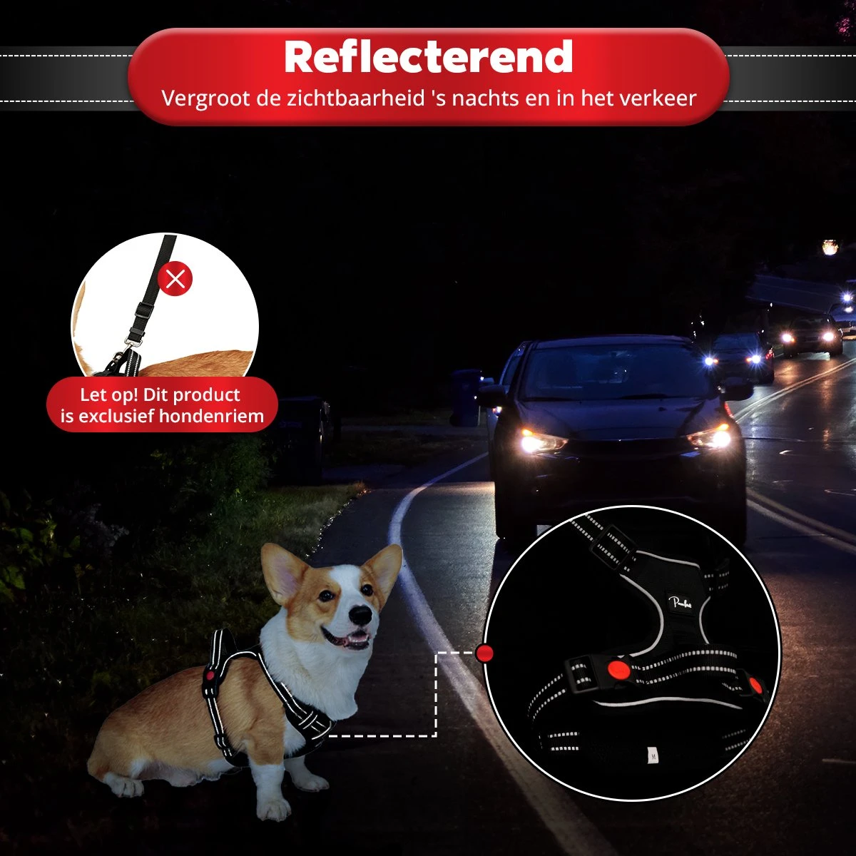 Purrr Fect Hondentuigje - Anti-Trek Tuig - Hondenharnas - Y Tuig Hond - Waterproof - Reflecterend - Verstelbaar - Maat M 9 Purrr Fect Hondentuigje - Anti-Trek Tuig - Hondenharnas - Y Tuig Hond - Waterproof - Reflecterend - Verstelbaar - Maat M - Afbeelding 7