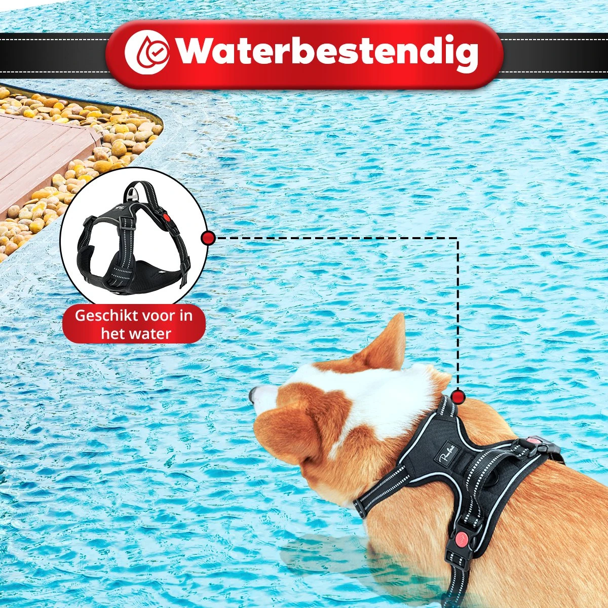 Purrr Fect Hondentuigje - Anti-Trek Tuig - Hondenharnas - Y Tuig Hond - Waterproof - Reflecterend - Verstelbaar - Maat M 11 Purrr Fect Hondentuigje - Anti-Trek Tuig - Hondenharnas - Y Tuig Hond - Waterproof - Reflecterend - Verstelbaar - Maat M - Afbeelding 9