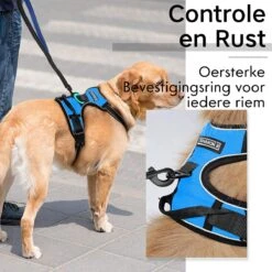 Sharon B - Hondentuigje - Voor Middelgrote Honden - Blauw - Maat M - No Pull Harnas - Anti Trek - Reflecterend - Hoeft Niet Over Het Hoofd Aangetrokken Te Worden -Honden Benodigdheden Verkoop 1200x1200 2035
