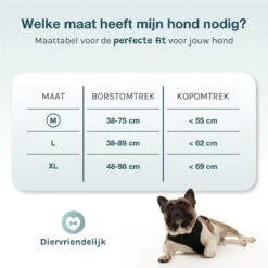Hondentuigje Medium – Hondenharnas - Anti Trek Tuig Hond – Y Tuig – Reflecterend – Zwart – Maat M -Honden Benodigdheden Verkoop 1200x1200 2049