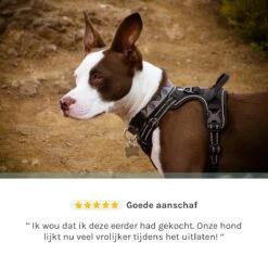 Hondentuigje Medium – Hondenharnas - Anti Trek Tuig Hond – Y Tuig – Reflecterend – Zwart – Maat M -Honden Benodigdheden Verkoop 1200x1200 2051