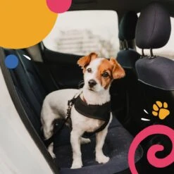 Hondentuig - Hondenharnas - Hondenriem - Anti Trek - Autogordel Hond - Zwart - Maat S -Honden Benodigdheden Verkoop 1200x1200 2055