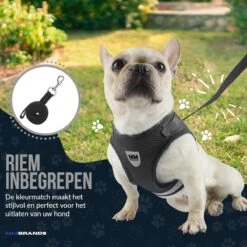 MM Brands Hondentuig - Harnas Hond - Y Tuig - Reflectie - Small - Zwart 14 MM Brands Hondentuig - Harnas Hond - Y Tuig - Reflectie - Small - Zwart -Honden Benodigdheden Verkoop 1200x1200 2061