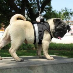 Hondentuig, Hondenharnas Met Hondenriem – Reflecterend - Zwart – Maat M (borst 35-40 Cm) -Honden Benodigdheden Verkoop 1200x1200 2066