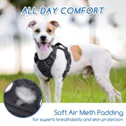 Nobleza 42ZHW - Hondenharnas - Hondentuigje - Anti Trek - S - Zwart 13 Nobleza 42ZHW - Hondenharnas - Hondentuigje - Anti Trek - S - Zwart -Honden Benodigdheden Verkoop 1200x1200 2068