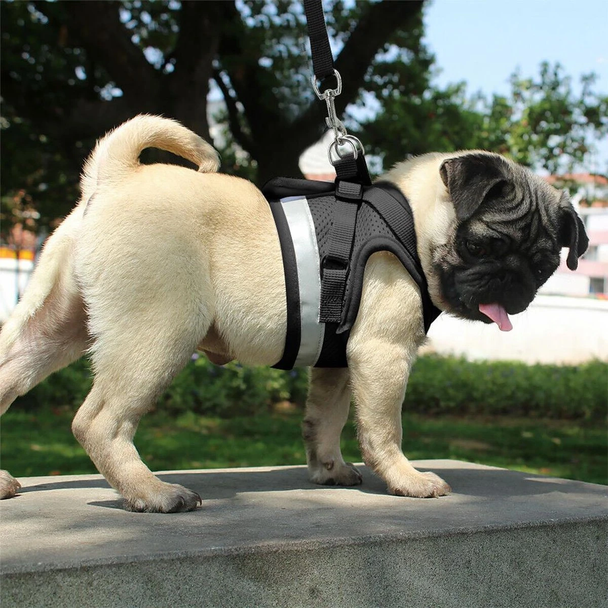 Hondentuig, Hondenharnas Met Hondenriem – Reflecterend - Zwart – Maat L (borst 40-45 Cm) 6 Hondentuig, Hondenharnas Met Hondenriem – Reflecterend - Zwart – Maat L (borst 40-45 Cm) - Afbeelding 4