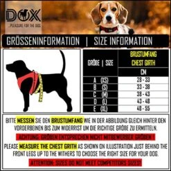 DDOXX Borstharnas Air Mesh, Step-In, Reflecterend | Vele Kleuren | Voor Kleine, Middelgrote En Middelgrote Honden | Hondenharnas Hond Kat Puppy | Kattenharnas Puppy Harnas | Zwart, M -Honden Benodigdheden Verkoop 1200x1200 2075