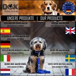 DDOXX Borstharnas Air Mesh, Step-In, Reflecterend | Vele Kleuren | Voor Kleine, Middelgrote En Middelgrote Honden | Hondenharnas Hond Kat Puppy | Kattenharnas Puppy Harnas | Zwart, M -Honden Benodigdheden Verkoop 1200x1200 2078