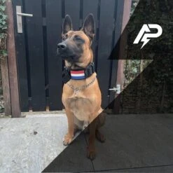 Always Prepared © Pro K9 Complete Set – Anti Trek Tuig – Honden Harnas – Y Tuig Hond – Trainings Riem – Best Getest 2022 – Halsband Hond – Middel En Grote Hond – Honden Tuigje – Harnas Hond – Veiligheidstuig – 450KG Anti Trek Test – Combi Deal -Honden Benodigdheden Verkoop 1200x1200 2081