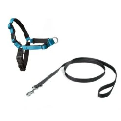 PetSafe Easy Walk® Deluxe Harness - Hondentuig - Blauw - L -1,8 M -Honden Benodigdheden Verkoop 1200x1200 2085