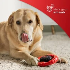 Kauwbot Stuurwiel 2.0 Extra Sterk Melk Geur Smaak En Piep Honden Speelgoed - Kauwspeelgoed Bot Hond - Dutchwide -Honden Benodigdheden Verkoop 1200x1200 2096