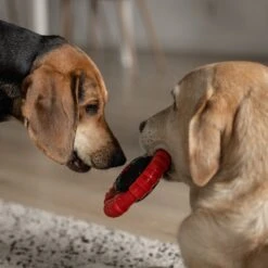 Kauwbot Stuurwiel 2.0 Extra Sterk Melk Geur Smaak En Piep Honden Speelgoed - Kauwspeelgoed Bot Hond - Dutchwide -Honden Benodigdheden Verkoop 1200x1200 2098