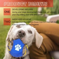 Nobleza Honden Speelgoed Set PLJ - 10 Stuks -Honden Benodigdheden Verkoop 1200x1200 2108