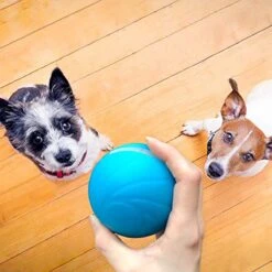 Cheerble Wicked Ball W1| Geel| Zelf Rollende Bal Voor Honden | 3 Automatische Speelmodi | Interactief En Intelligentie Hondenspeelgoed | Hondenspeeltje| USB Oplaadbaar 20 Cheerble Wicked Ball W1| Geel| Zelf Rollende Bal Voor Honden | 3 Automatische Speelmodi | Interactief En Intelligentie Hondenspeelgoed | Hondenspeeltje| USB Oplaadbaar -Honden Benodigdheden Verkoop 1200x1200 2125
