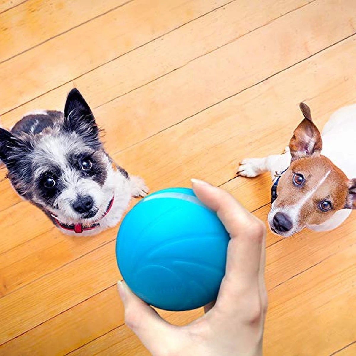 Cheerble Wicked Ball W1| Geel| Zelf Rollende Bal Voor Honden | 3 Automatische Speelmodi | Interactief En Intelligentie Hondenspeelgoed | Hondenspeeltje| USB Oplaadbaar 10 Cheerble Wicked Ball W1| Geel| Zelf Rollende Bal Voor Honden | 3 Automatische Speelmodi | Interactief En Intelligentie Hondenspeelgoed | Hondenspeeltje| USB Oplaadbaar - Afbeelding 8