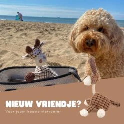 Dutchwide Honden - Knuffel - Met Piep - Extra Sterk - Speelgoed - Pluche - Hondenknuffel - Intelligentie 13 Dutchwide Honden - Knuffel - Met Piep - Extra Sterk - Speelgoed - Pluche - Hondenknuffel - Intelligentie -Honden Benodigdheden Verkoop 1200x1200 2128